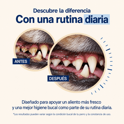 Polvo Dental para Perros Sin Cepillado - Aliva®